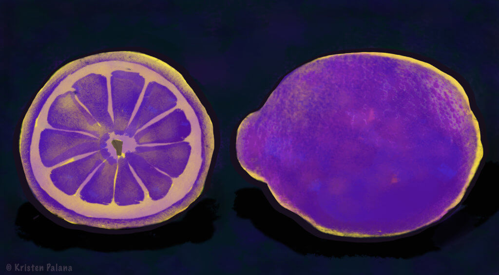 How to Make Beautiful Quick & Easy Illustrations in Any Image Program