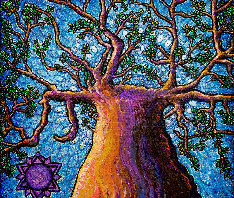 Beaten Up by a Baobab + New Work