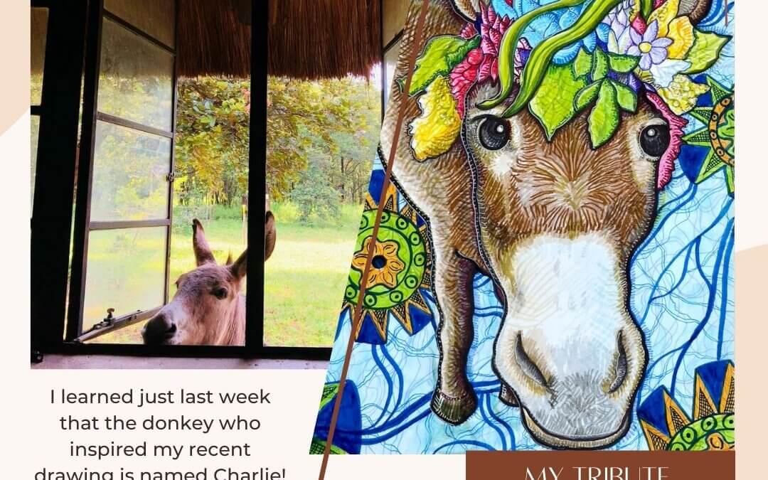 How Inspiration Can Just Sneak Up On You + New Videos & Updates