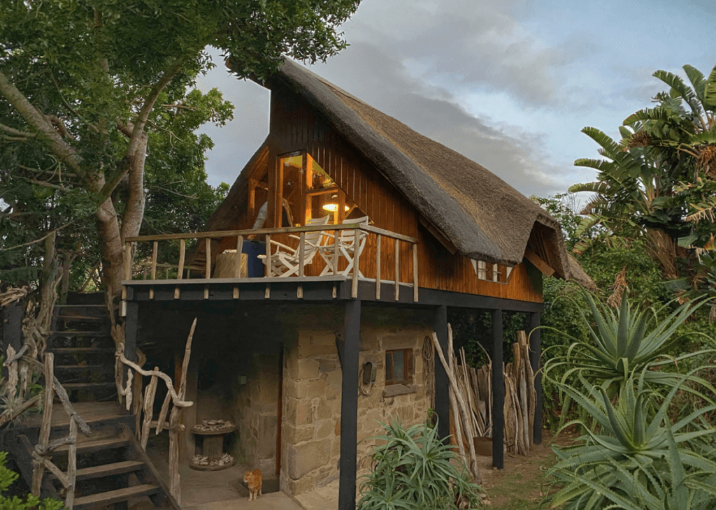 Driftwood Studios, artist residency South Africa