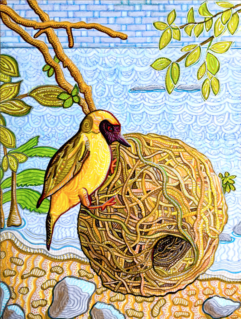 Malawian Inspired Art -masked weaver at Lake Malawi