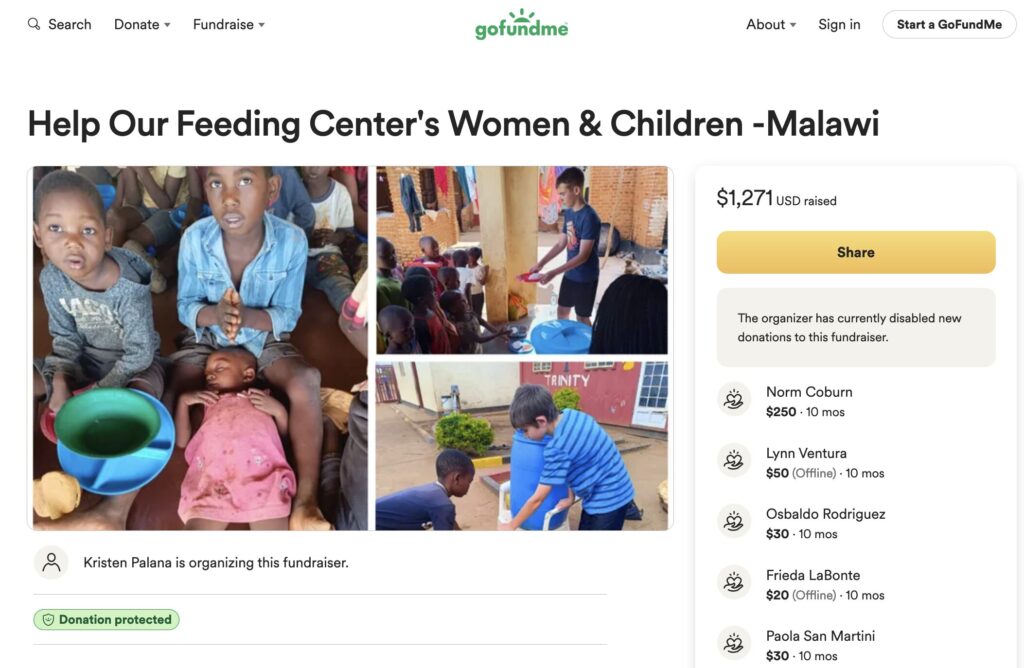 crowdfunding success for artists and idealists